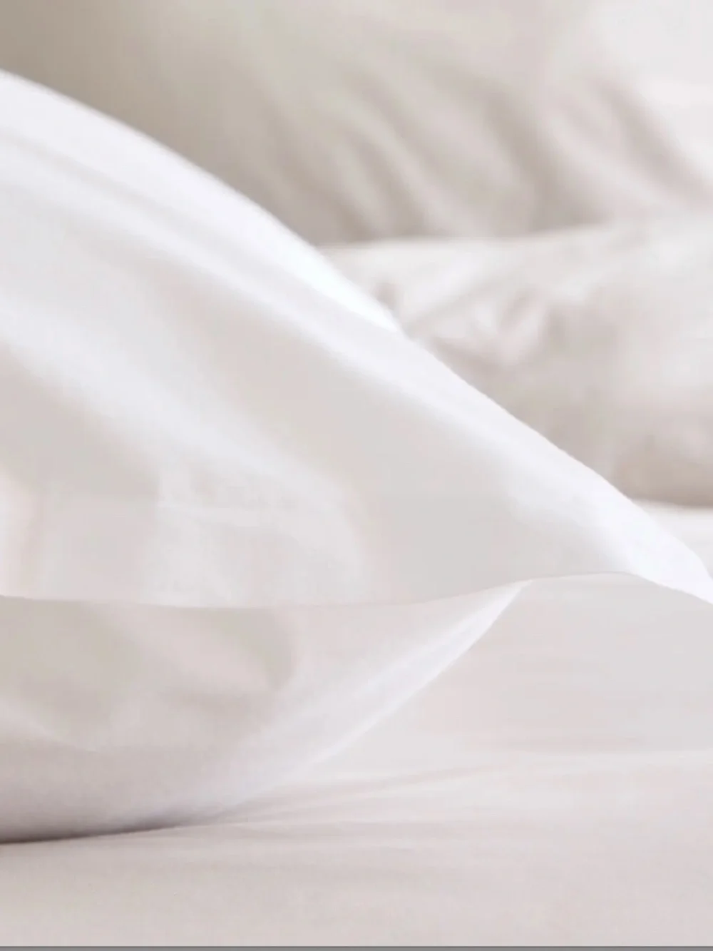 Organic Brushed Cotton Euro Sham White